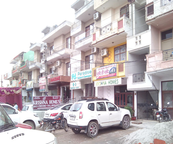 Green Field Market, Faridabad