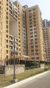 house for rent in Noida